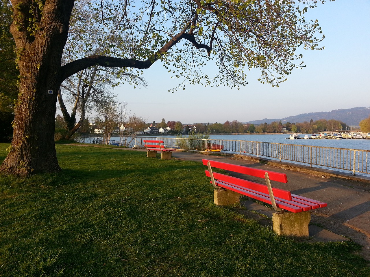 他再次展现 他再次展现