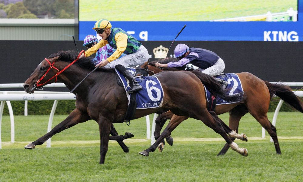 阿努诺比末节爆发，尼克斯送雄鹿三连败！尼克斯 116-107 击败雄鹿！.